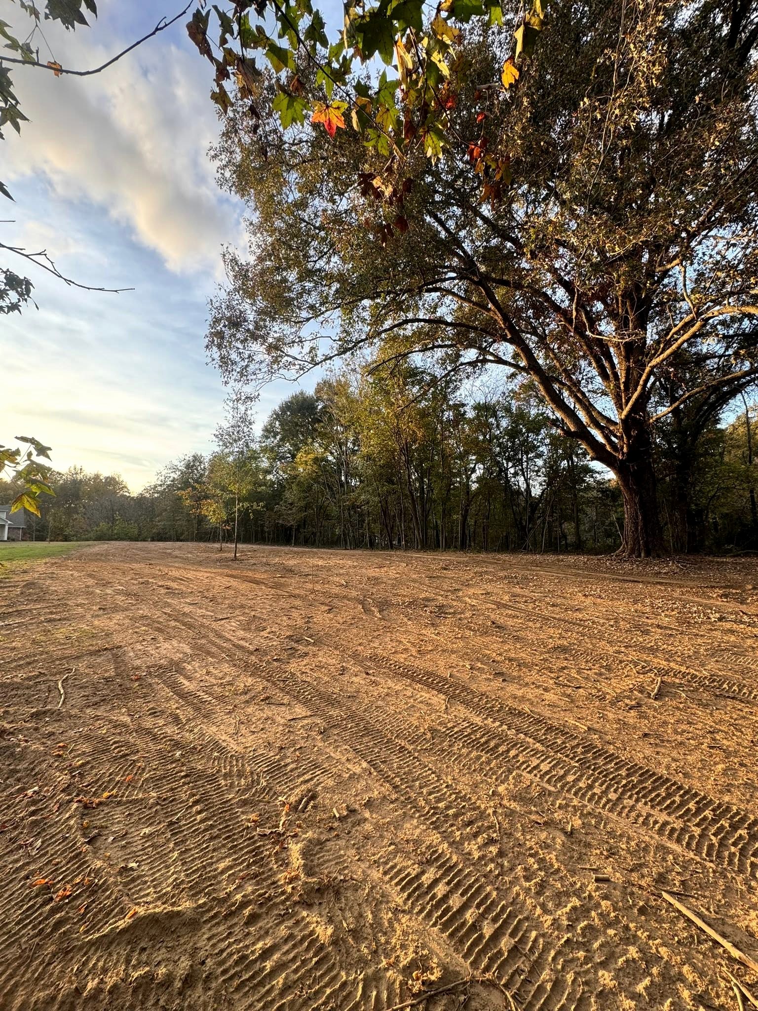 B&C completed property clearing at golden hour
