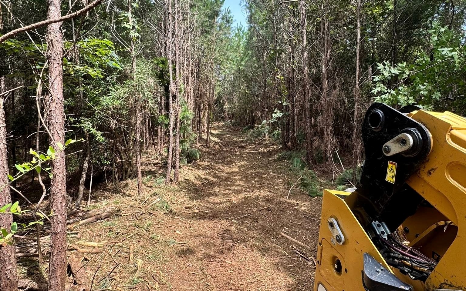 B&C compact track loader cutting access through young pines